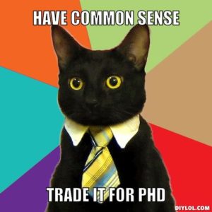 business-cat-meme-generator-have-common-sense-trade-it-for-phd-4db2dc